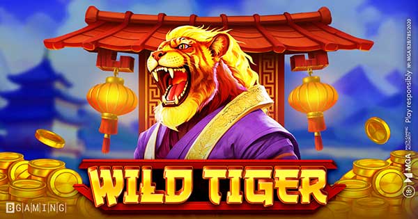 Earn your stripes at every spin in BGaming’s Wild Tiger